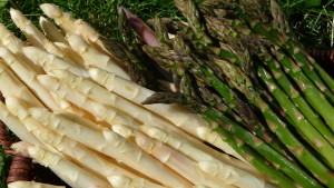 Großaufnahme Spargel weiß u. grün